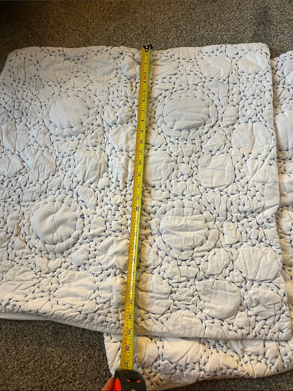 Anthropologie embroidered cotton Euro shams (2)